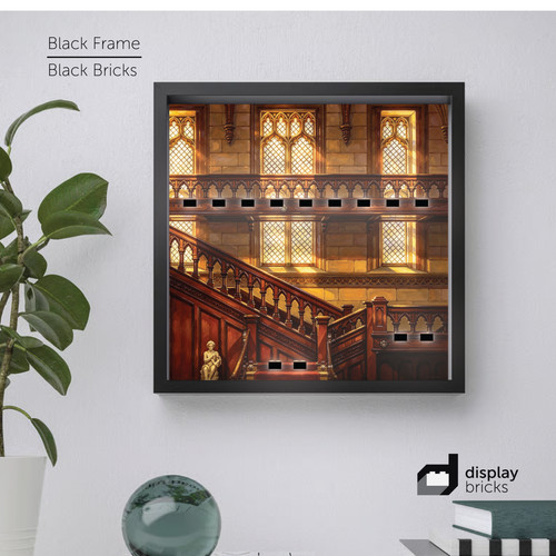Display frame for downton - frame,